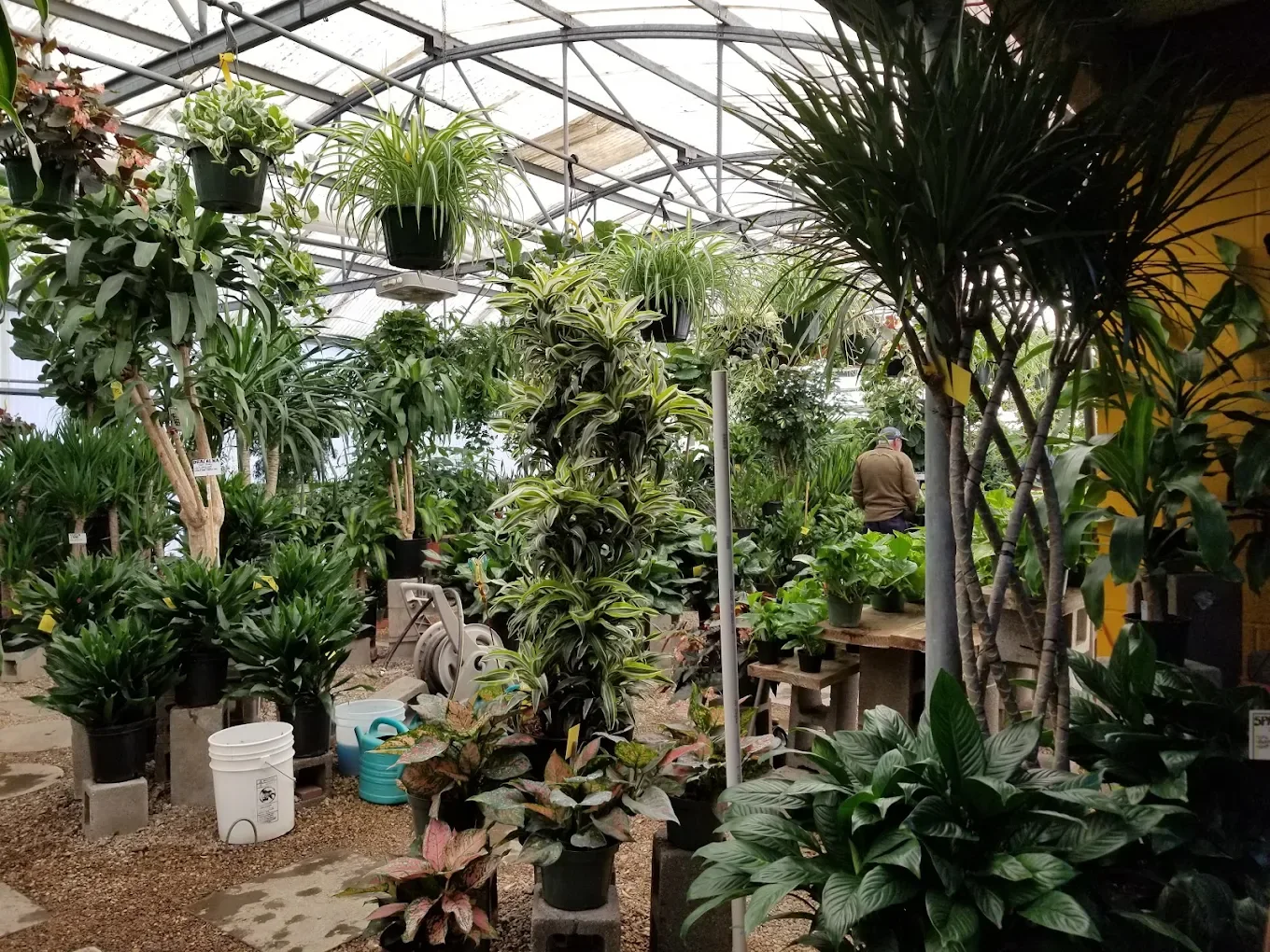 Plants & Planters business photo