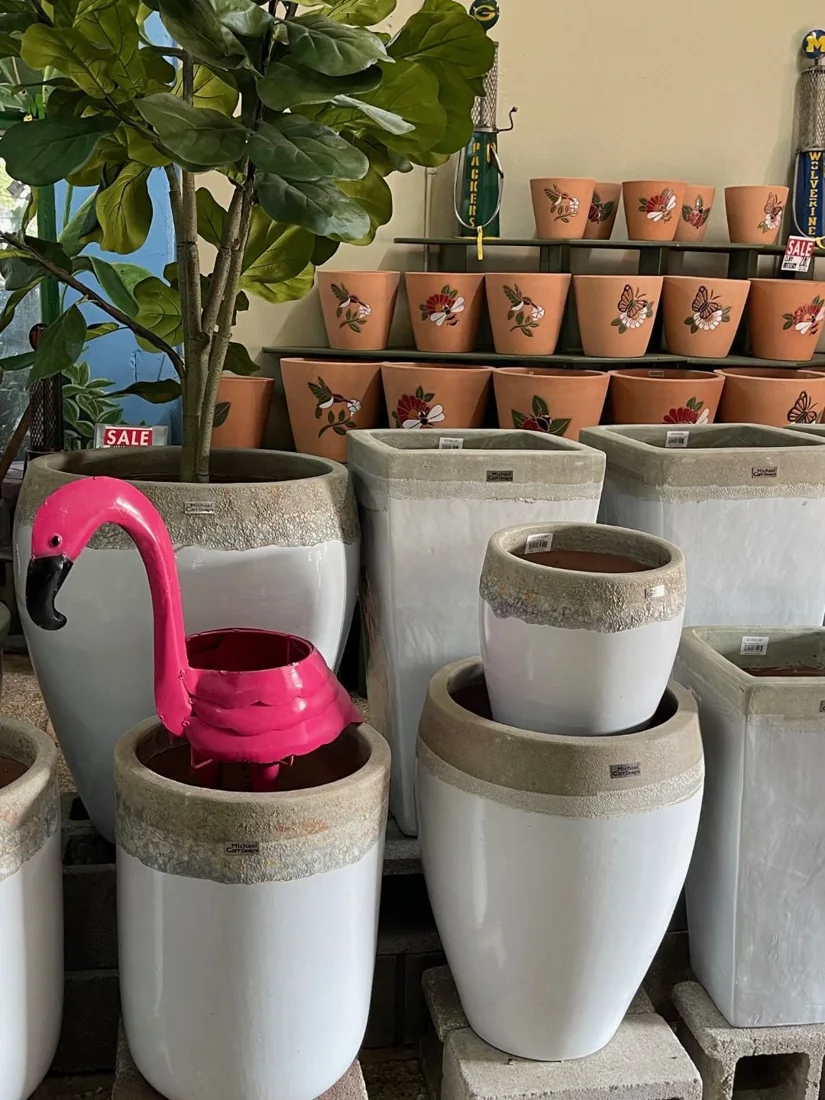 Plants & Planters, business photo 4